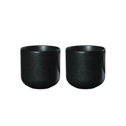 Asa Selection 2'Li Çay Bardağı Takımı 7,5 Cm Siyah 01AS-19080190 - Asa Selection
